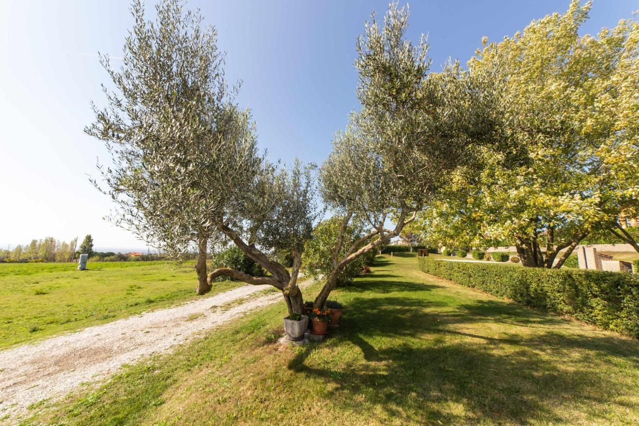 Agriturismo Bella Cima Montefiascone Exterior photo
